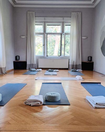 Vinyasa Yoga Kurs in Dresden – Teilnehmer üben fließende Bewegungen im Yogastudio